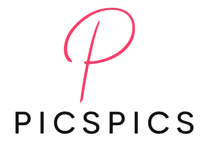 PicsPics Logo